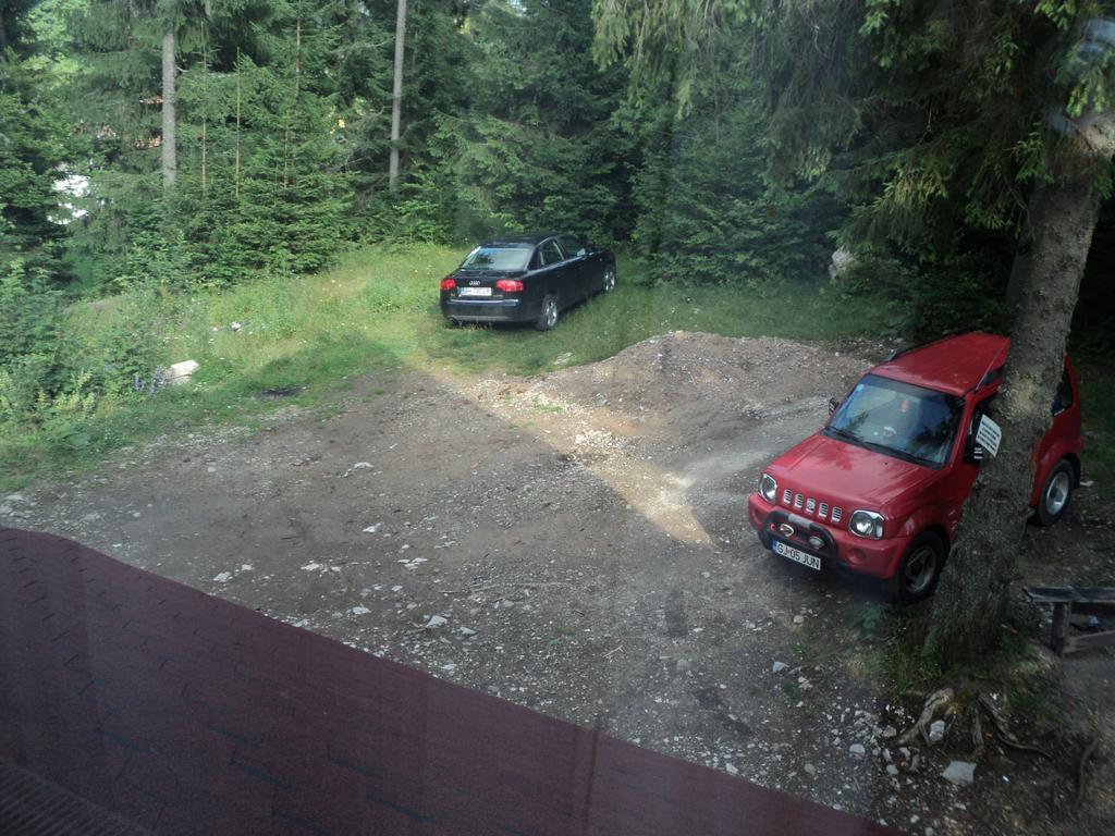 Cabana Suvenirurilor Scarisoara  Eksteriør billede